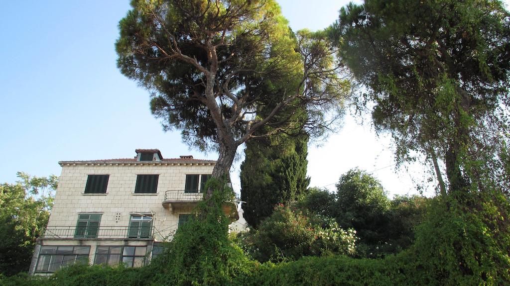 Apartment Dubrovnik Surprise Dış mekan fotoğraf