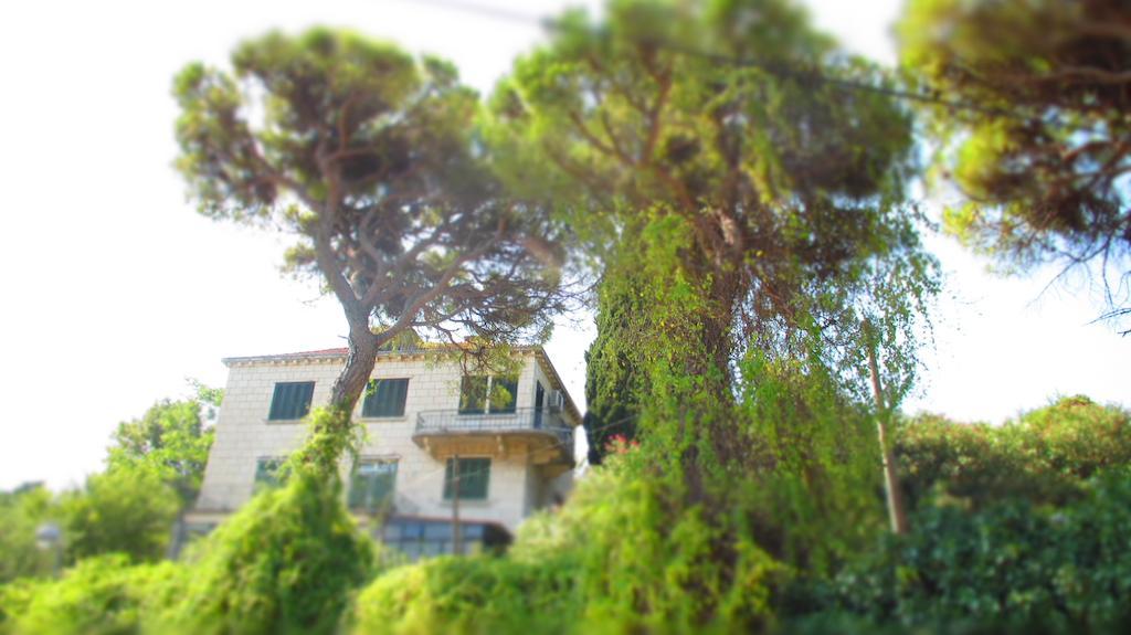 Apartment Dubrovnik Surprise Dış mekan fotoğraf